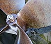 Agora-Hausverwaltung – Online